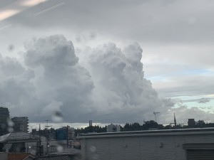 IMG_8075