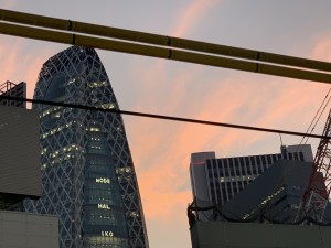 IMG_8603
